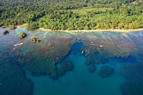 Dolphin Island Private island in the Caribbean Sea 5