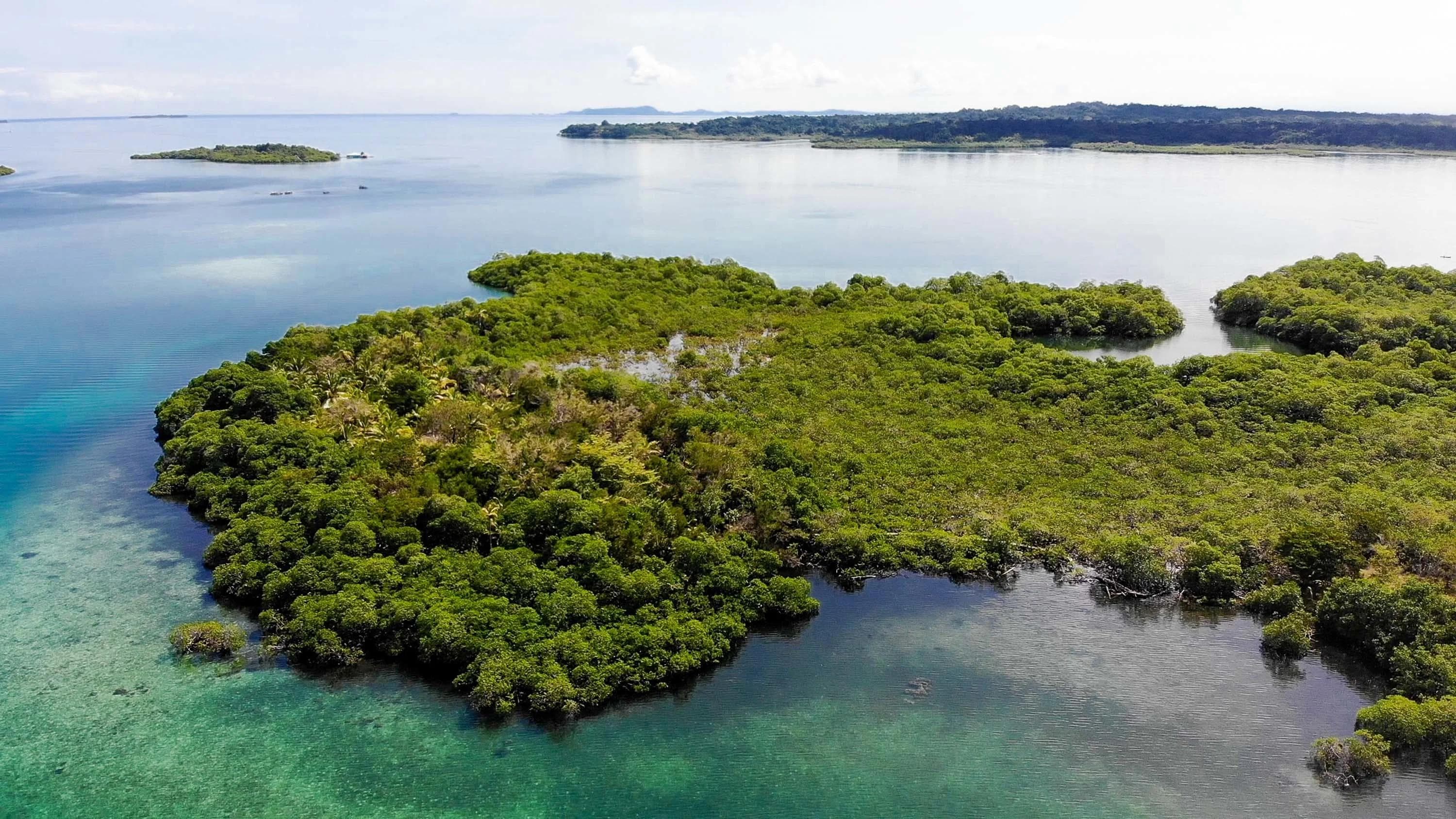 Dolphin Island Private island in the Caribbean Sea 1